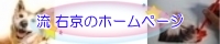 流 右京のホームページ