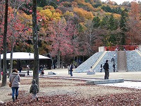 子供の楽園