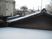 画像の説明