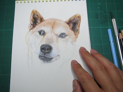 画像