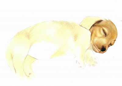 scan-002.jpg